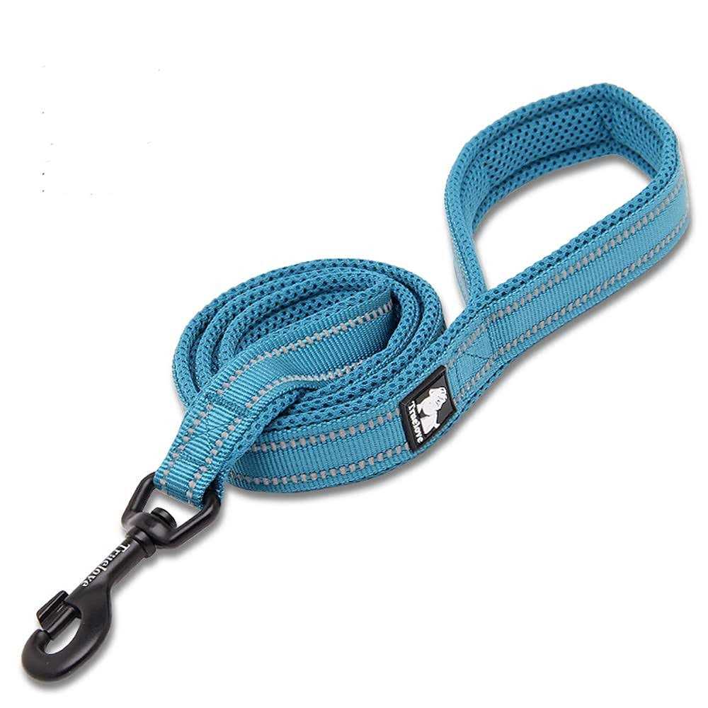 Padded Reflective Dog Leash B11032
