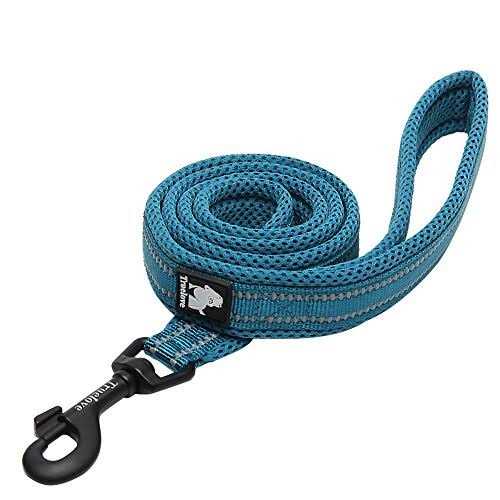 Padded Reflective Dog Leash B11032