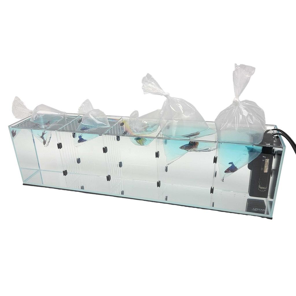 Acrylic Aquarium X932248