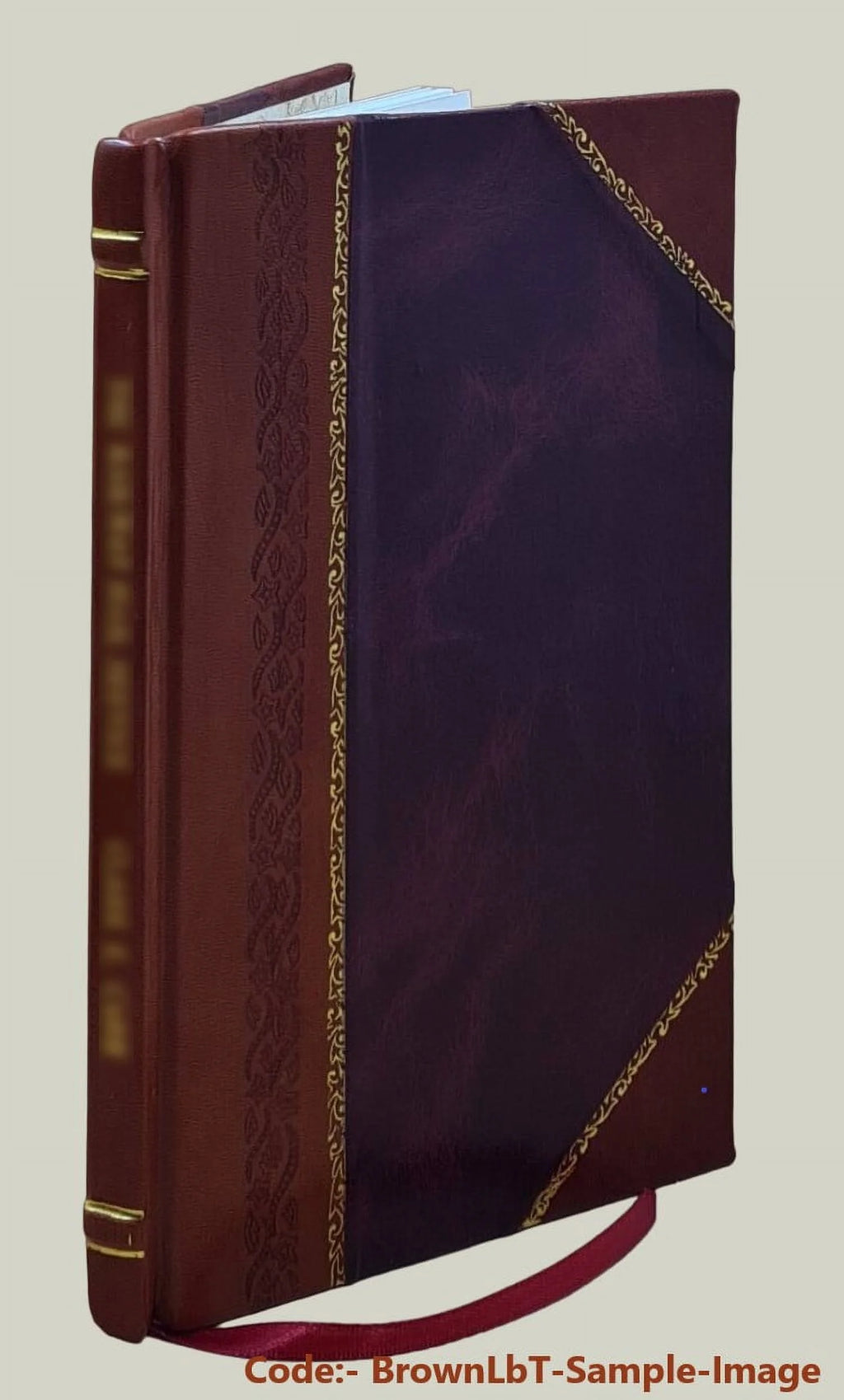 Politics Volume 132 1881 Leather Bound T83261