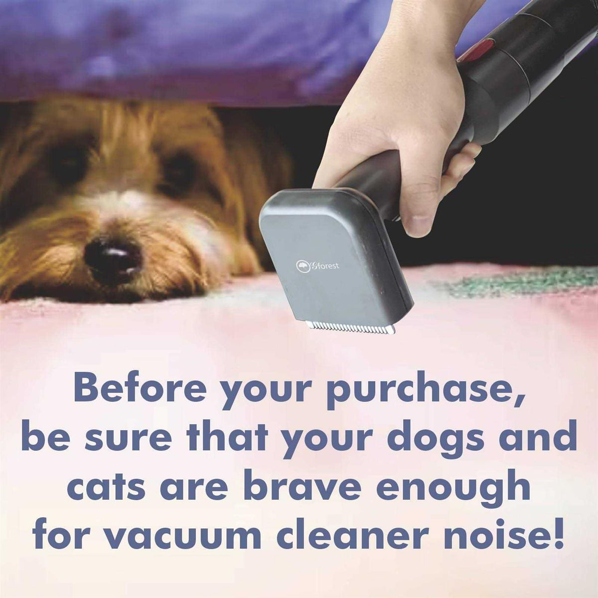 Pet Hair Grooming Brush Comb Shedding Vacuum Attachment Tool R536918