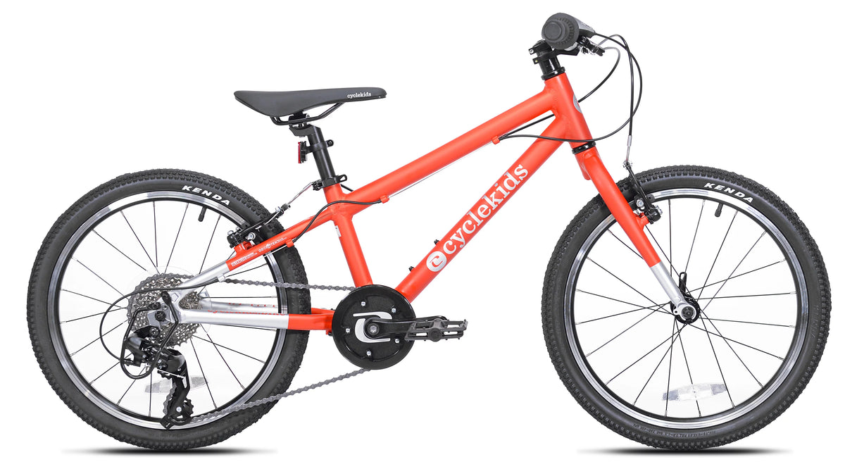 20 inch Bicycle C42943