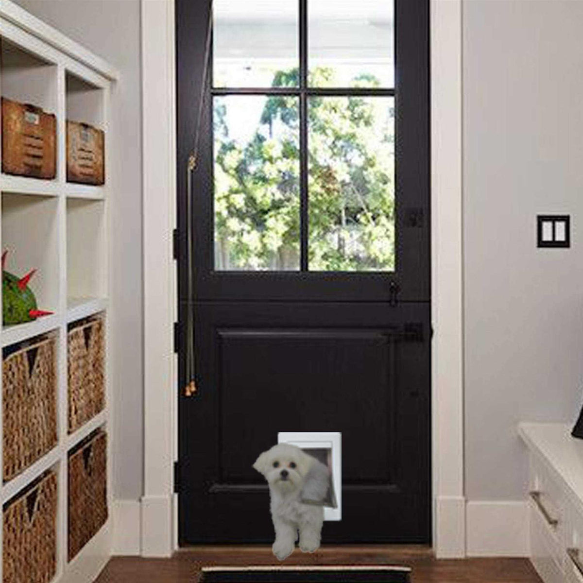 Plastic Pet Door R275330