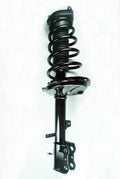 Strut and Coil Spring Assembly R144