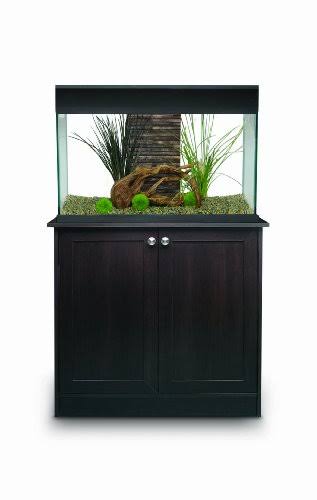 25-Gallon Glass Aquarium C346