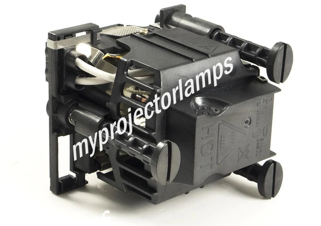 Projector Lamp with Module Z116