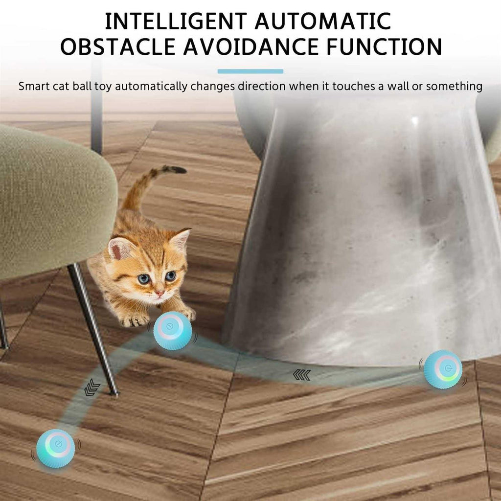 Interactive Cat Toy Ball with LED Light S586