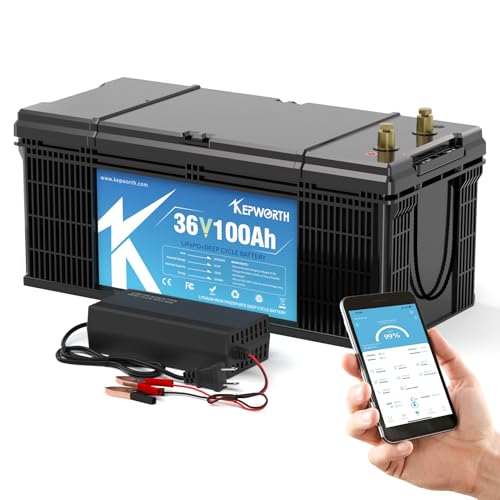 12.8V 100Ah LiFePO4 Battery with 100A BMS W656