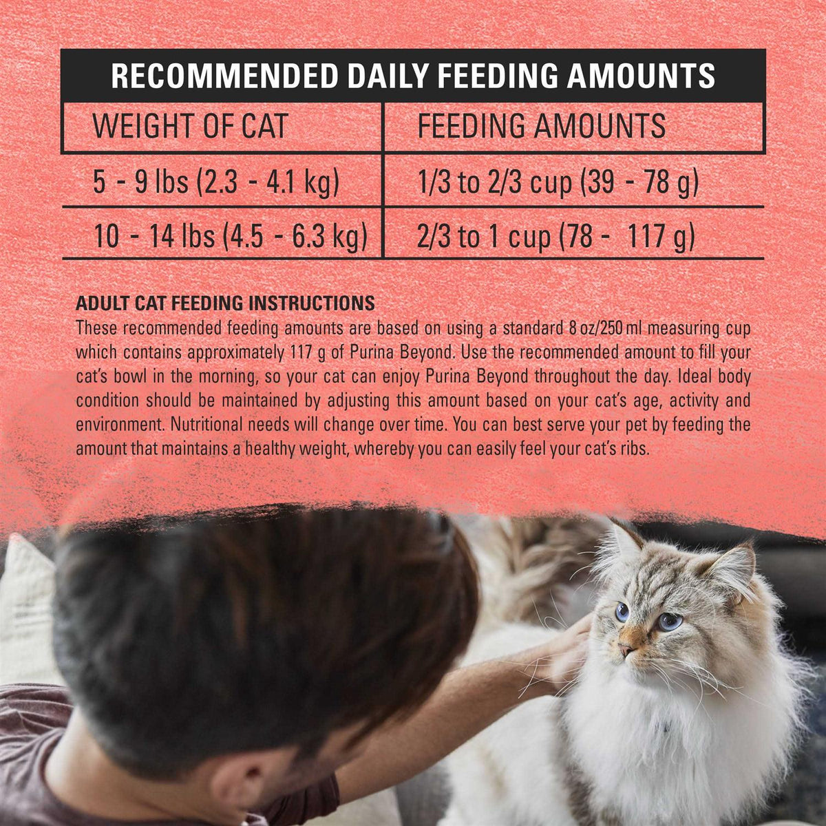Cat Dry Food O651