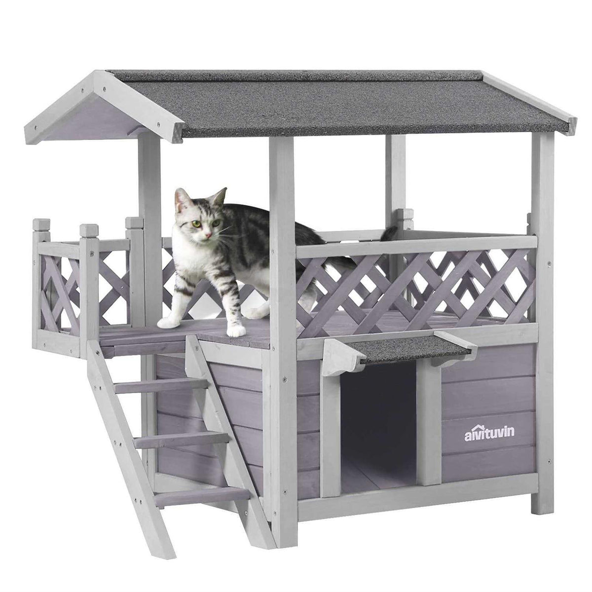 Feral Cat House with Escape Door H927396