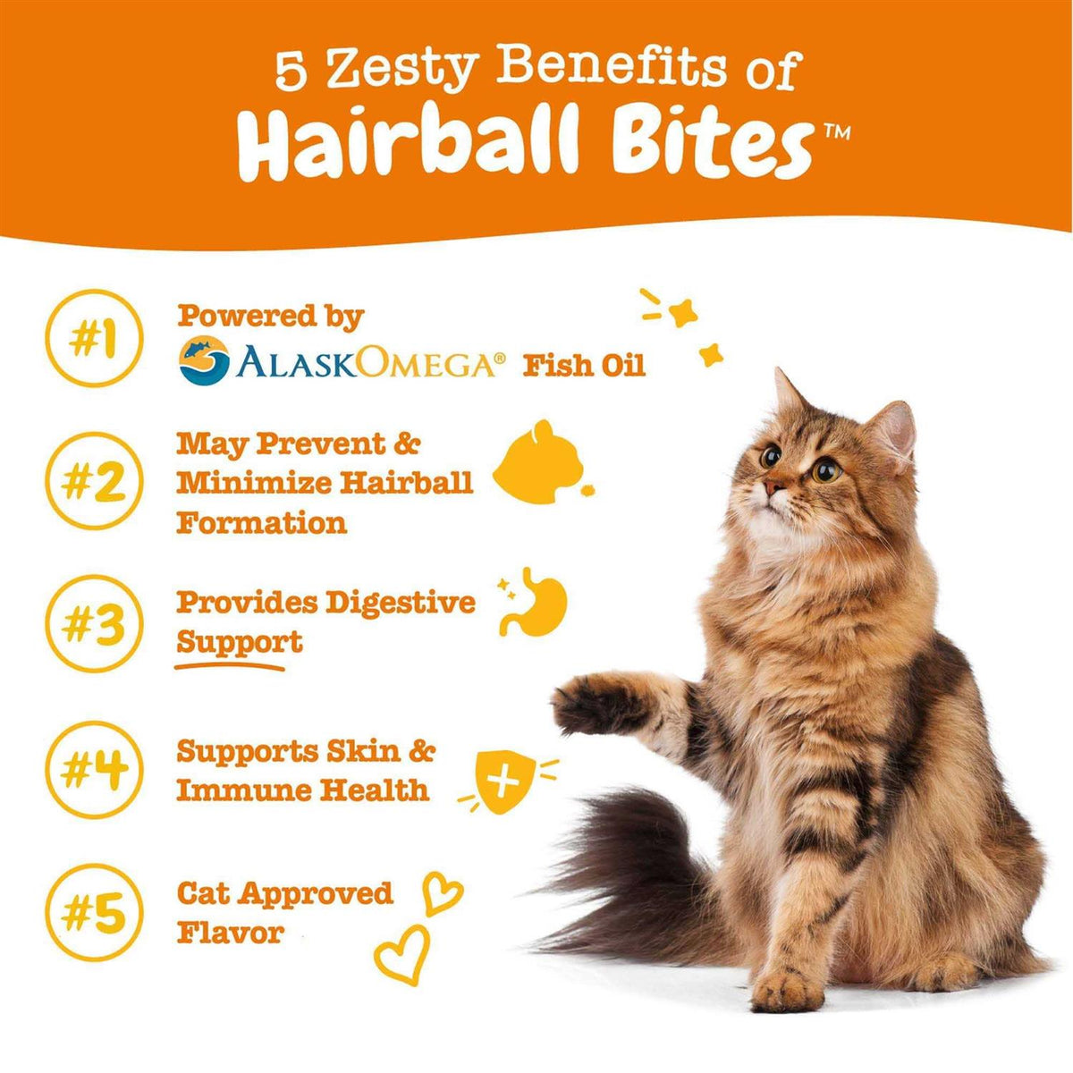 Hairball Bites for Cats W39144