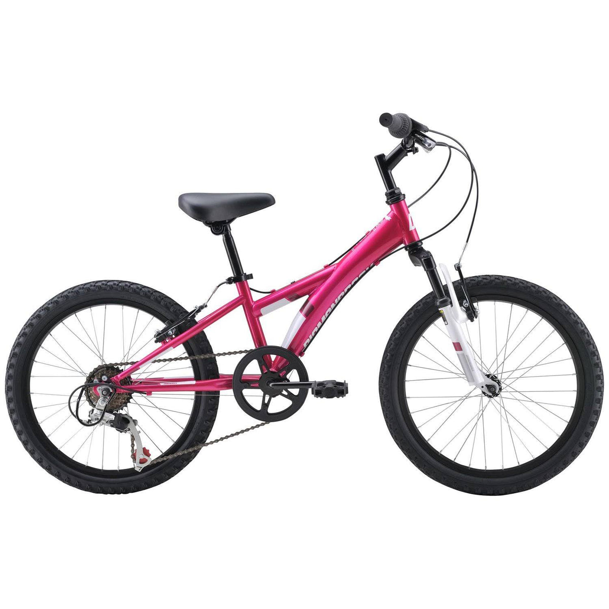 20" Girls Mountain Bike Pink A20362