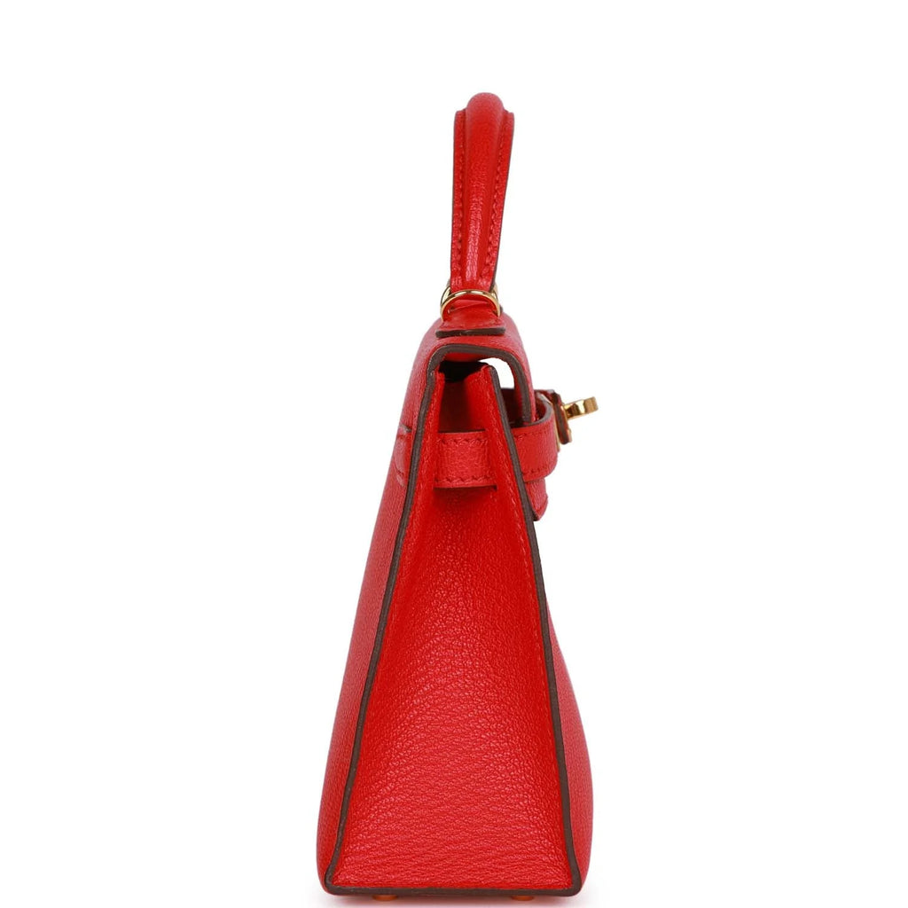 Pre-owned Chevre Mysore Handbag R7024