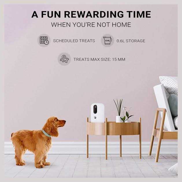 Snack Treat Dispenser X865