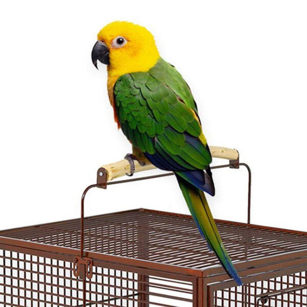Avian Hotel X3456