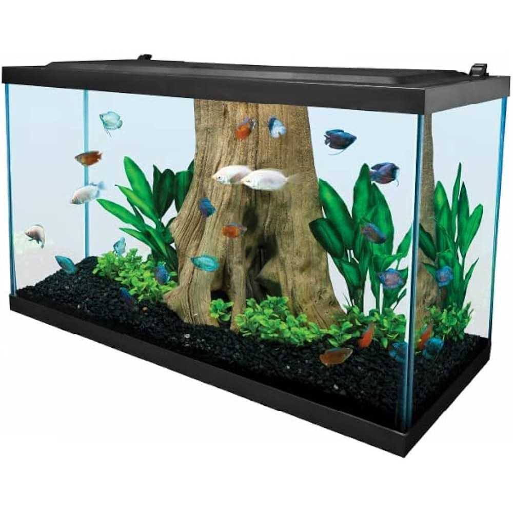 29 Gallon Glass LED Aquarium Kit N3967