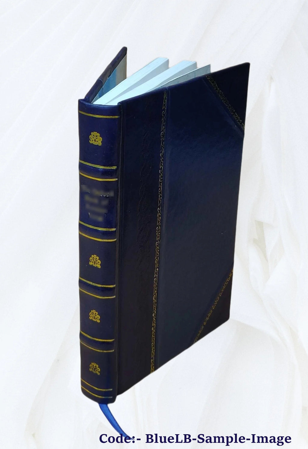 Leather Bound Book J184856