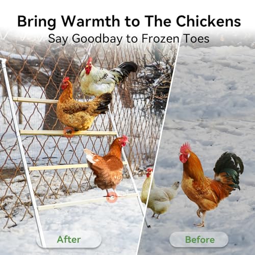 Chicken Coop Run with Anti-Rust Durable Steel, Large Walk-in Poultry Cage with Cover R3190