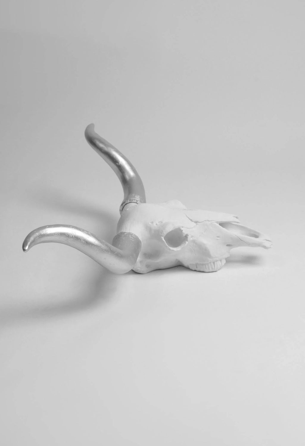 White Faux Longhorn Cattle Skull Decor P169