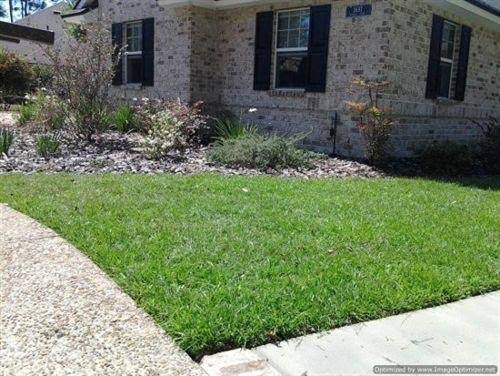 Centipede Grass Seed 10 lbs. L442934