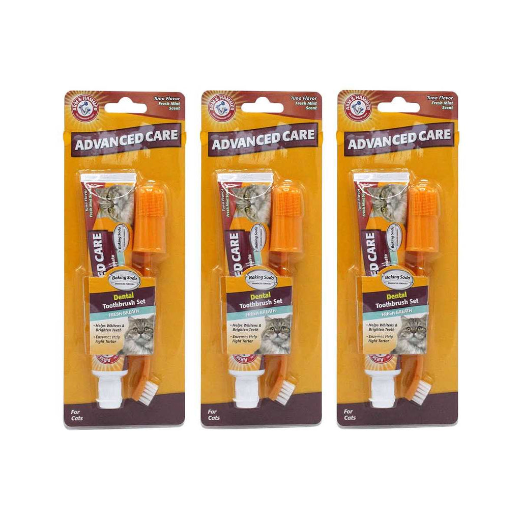 Advanced Care Dental Kit for Cats V875202