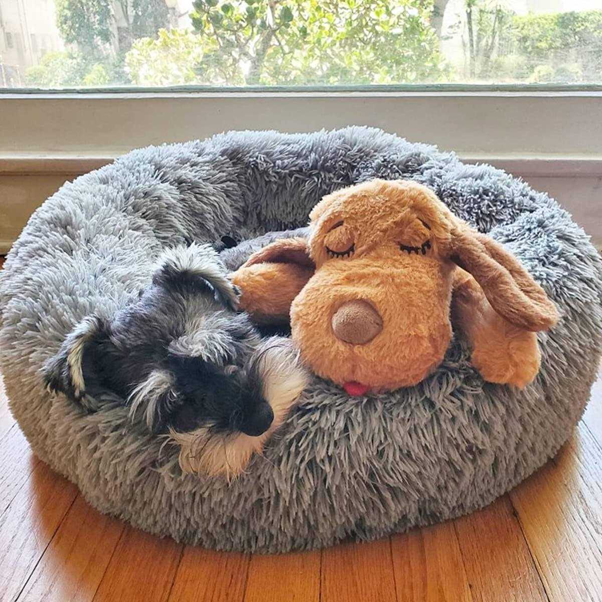 Snuggle Puppy Starter Kit X90318