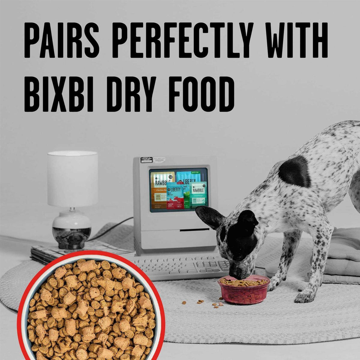 Freeze Dried Beef Dog Food B2059