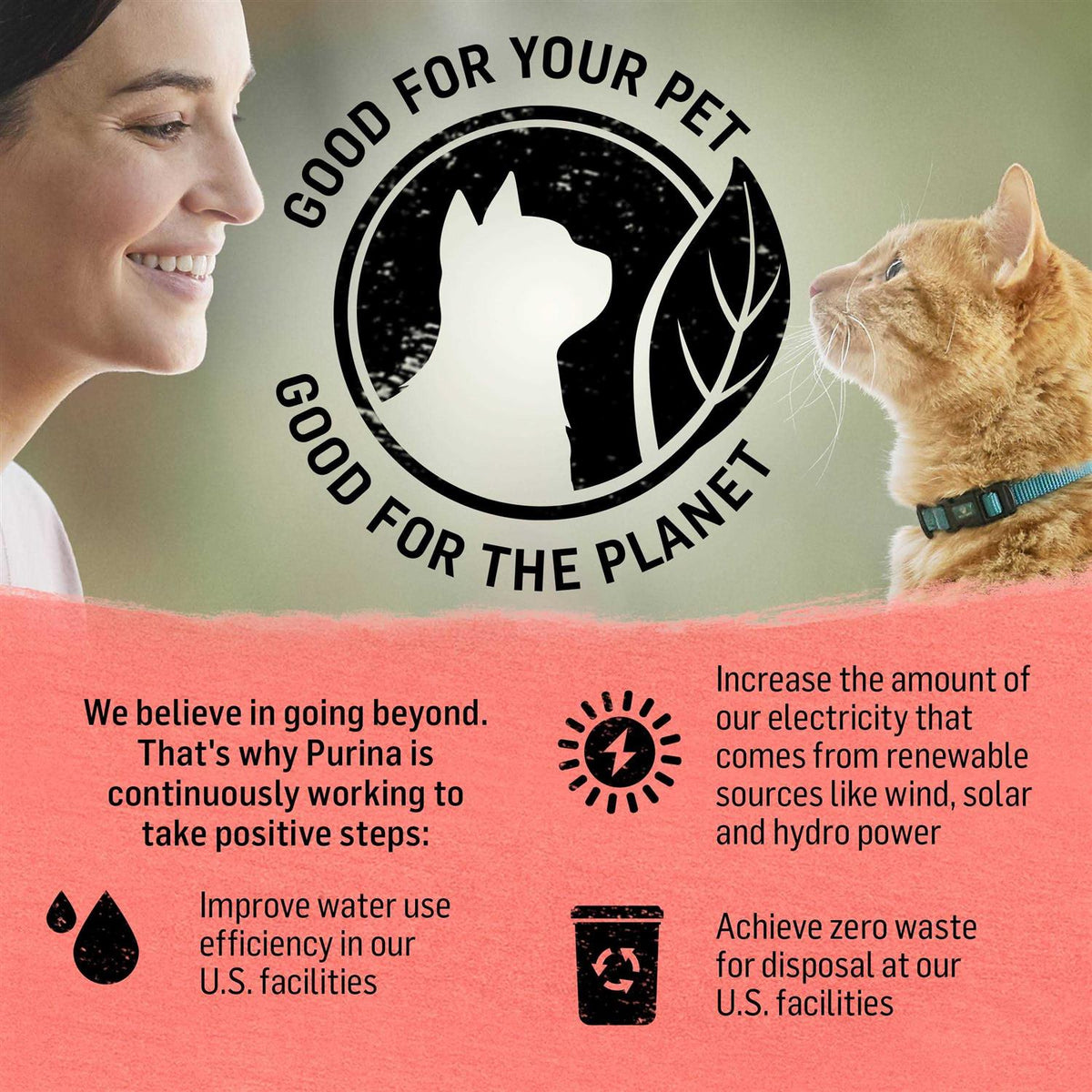 Cat Dry Food O651