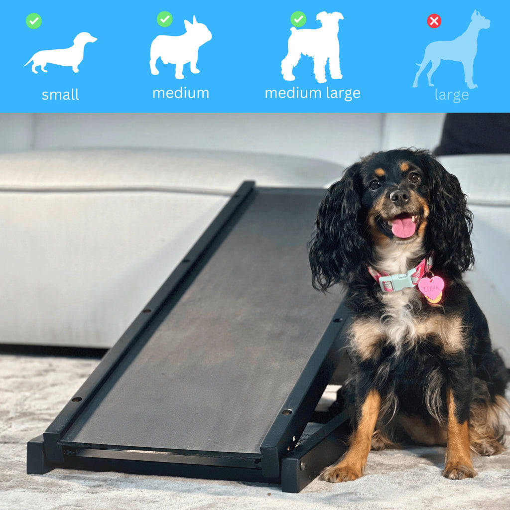 Adjustable 10" to 20" Anti Slip Pet Ramp for Couch S703