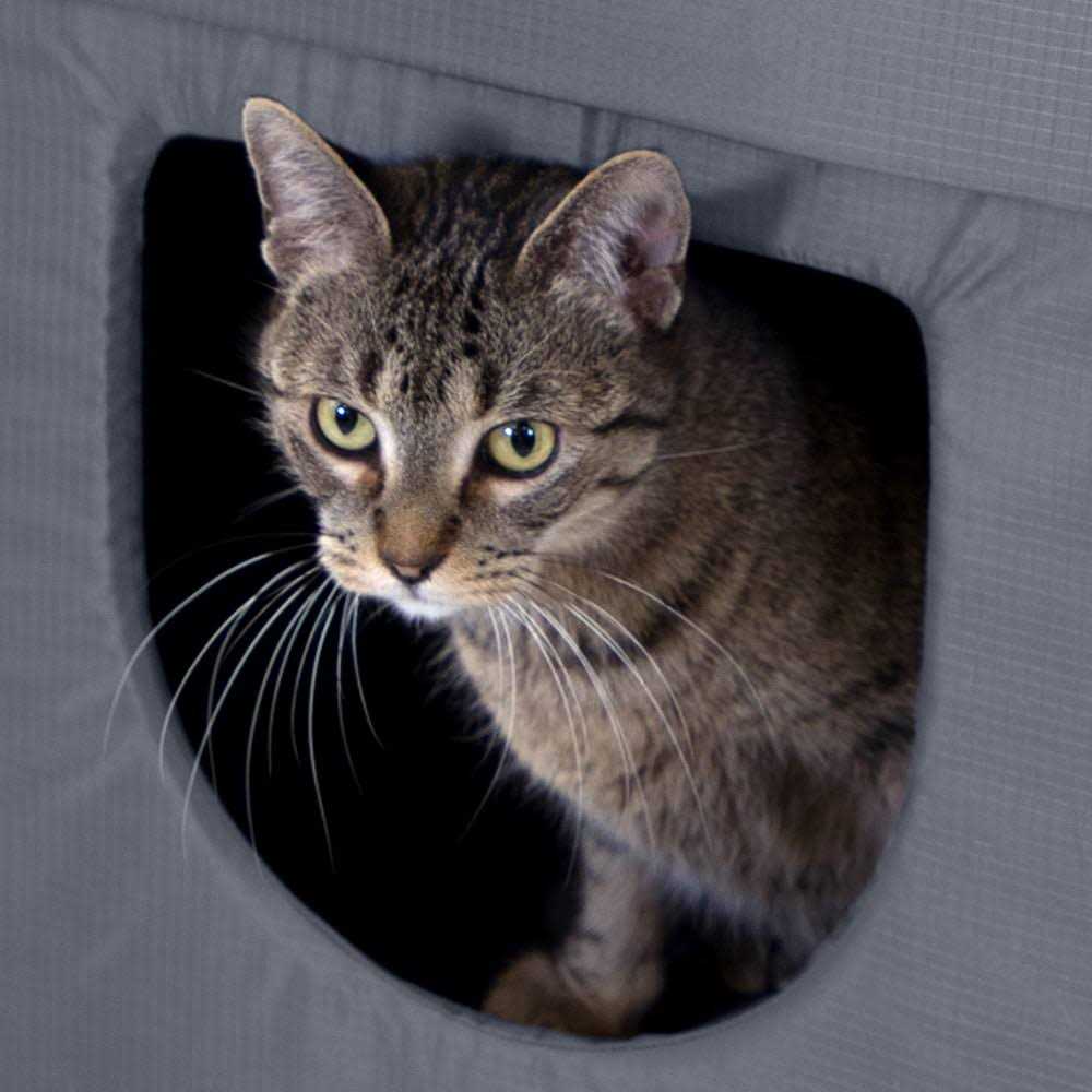 Outdoor Cat House F424471