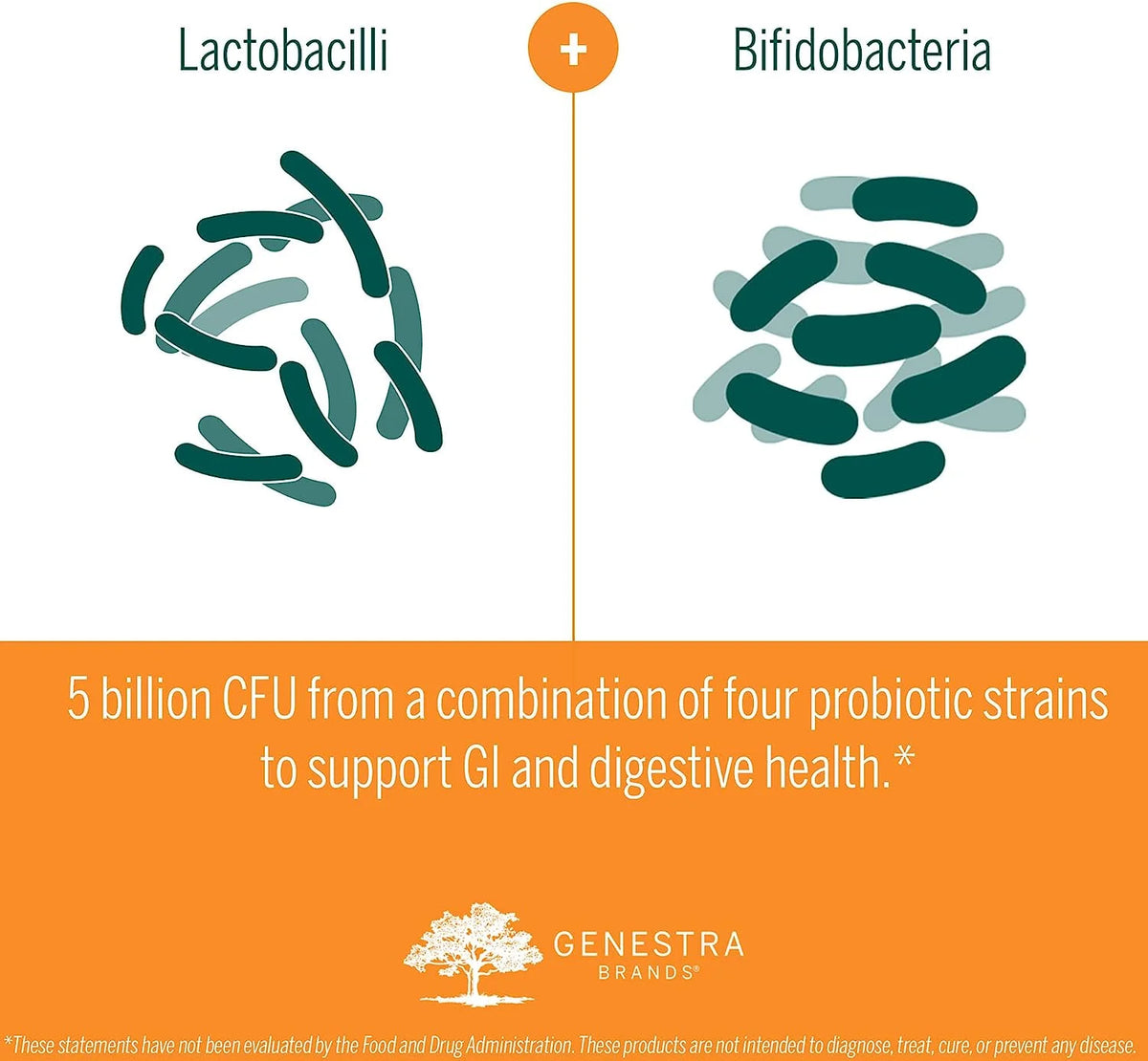 60 Capsules Probiotic Formula C366475