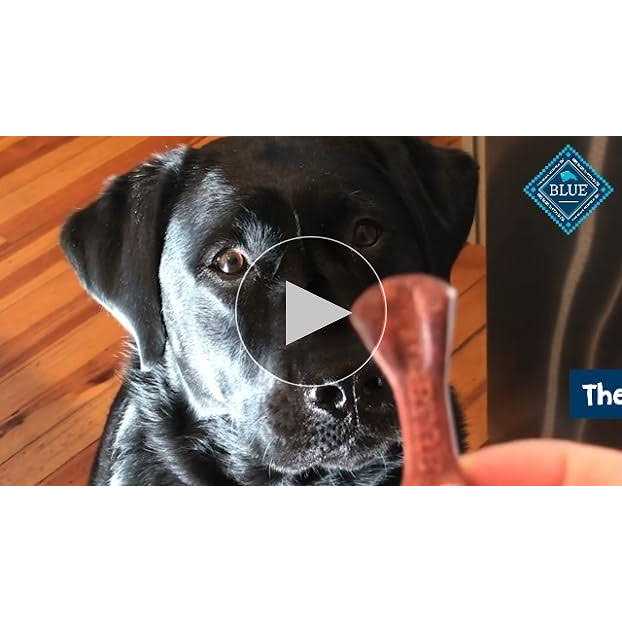 Blue Buffalo Stix Dog Treats D9781