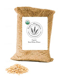 Hard White Wheat Berries Organic 5 lbs B357387