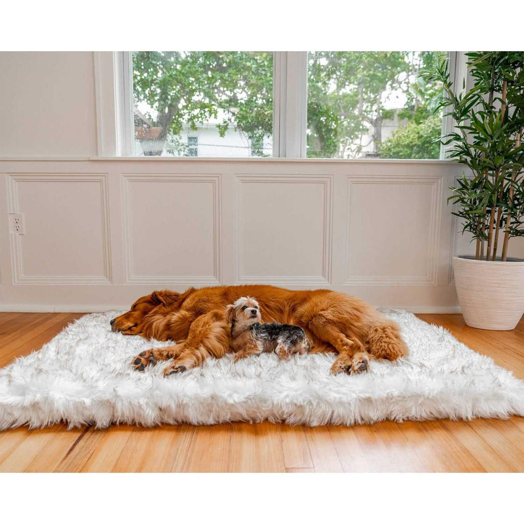 Faux Fur Orthopedic Dog Bed Y43500