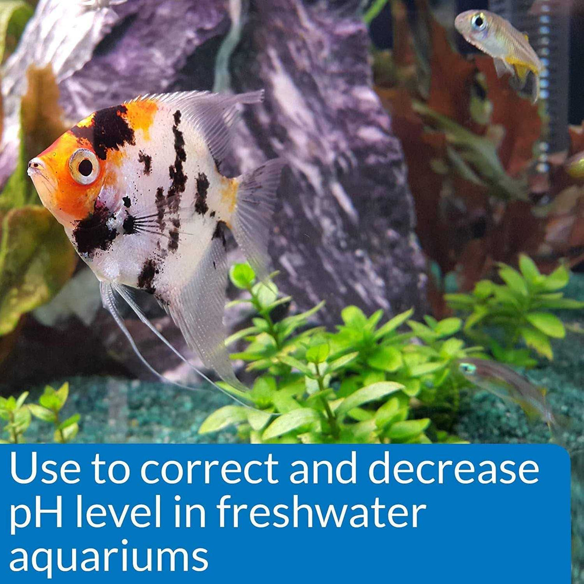Aquarium pH Down G6965