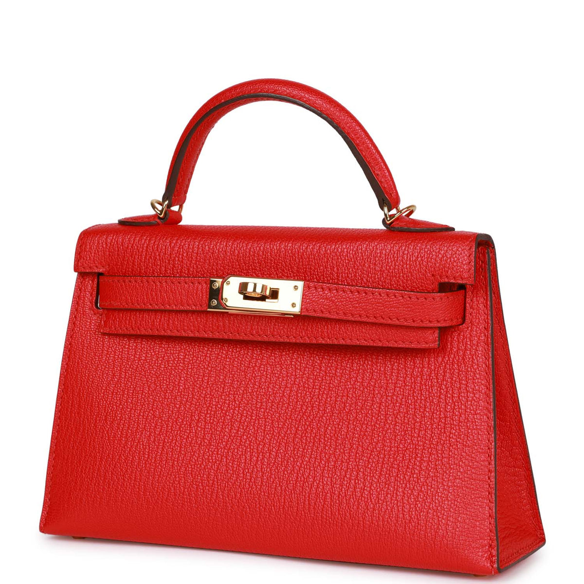 Pre-owned Chevre Mysore Handbag R7024