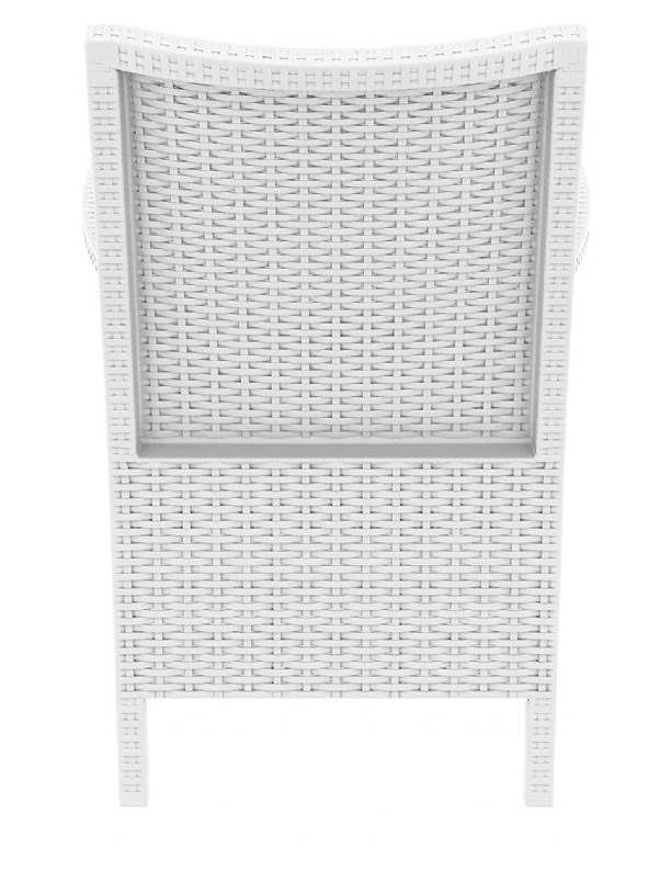 Beige Resin Wicker Chair Set of 2 W905771