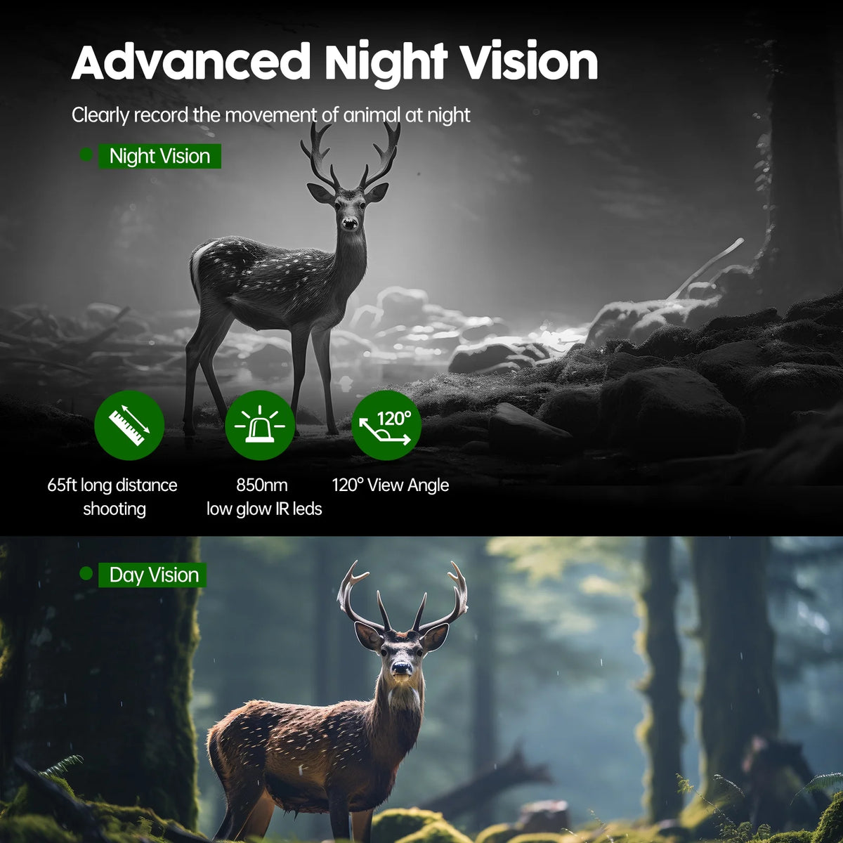 Solar Powered Trail Camera 1080P 24MP with Night Vision Waterproof S837943