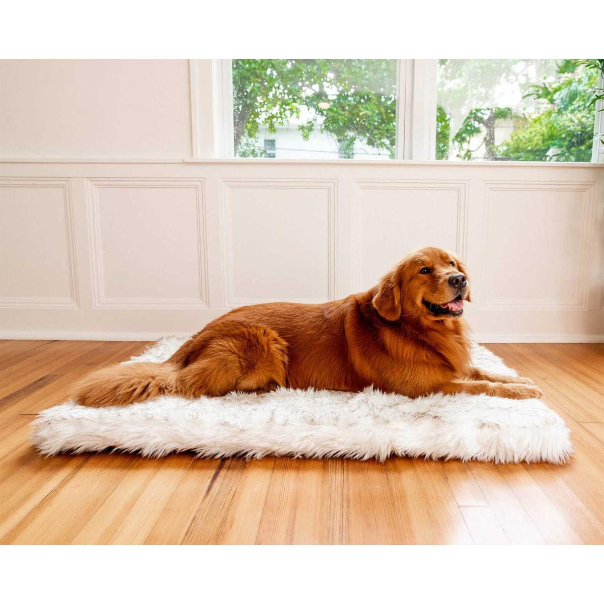 Faux Fur Orthopedic Dog Bed Y43500