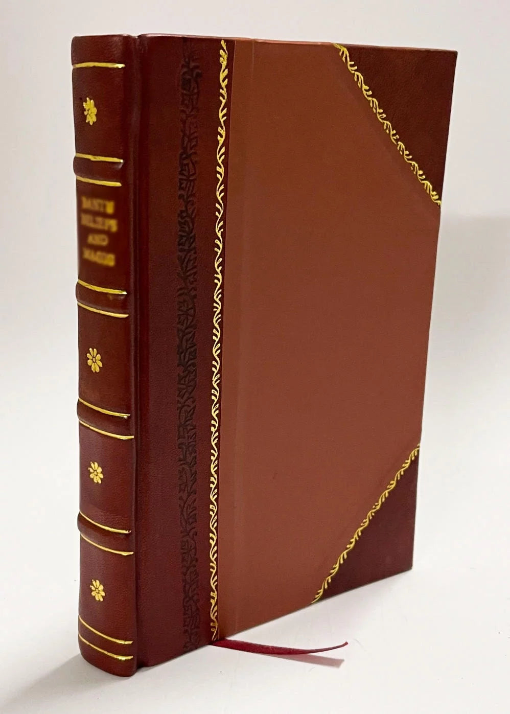 Chronologie De Tous Les Roys Qui Ont Regne Sur La France Leather Bound D5114