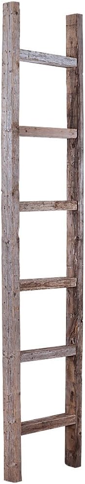 Rustic Farmhouse Decorative Ladder Brown V83667