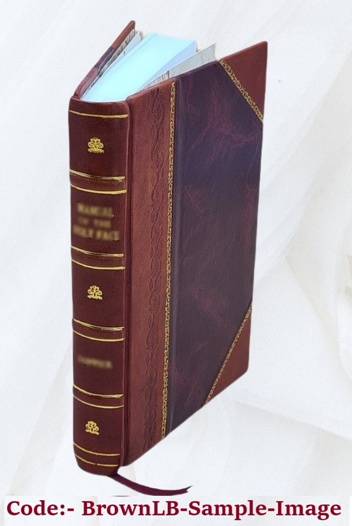 Leather Bound Book J184856