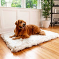 Faux Fur Orthopedic Dog Bed Y43500