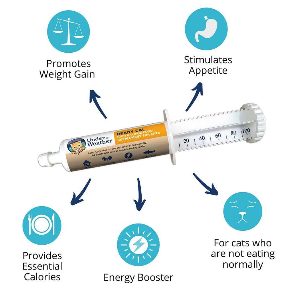 High Calorie Cat Supplement L79068