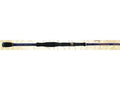 Saltwater Casting Fishing Rod P756377