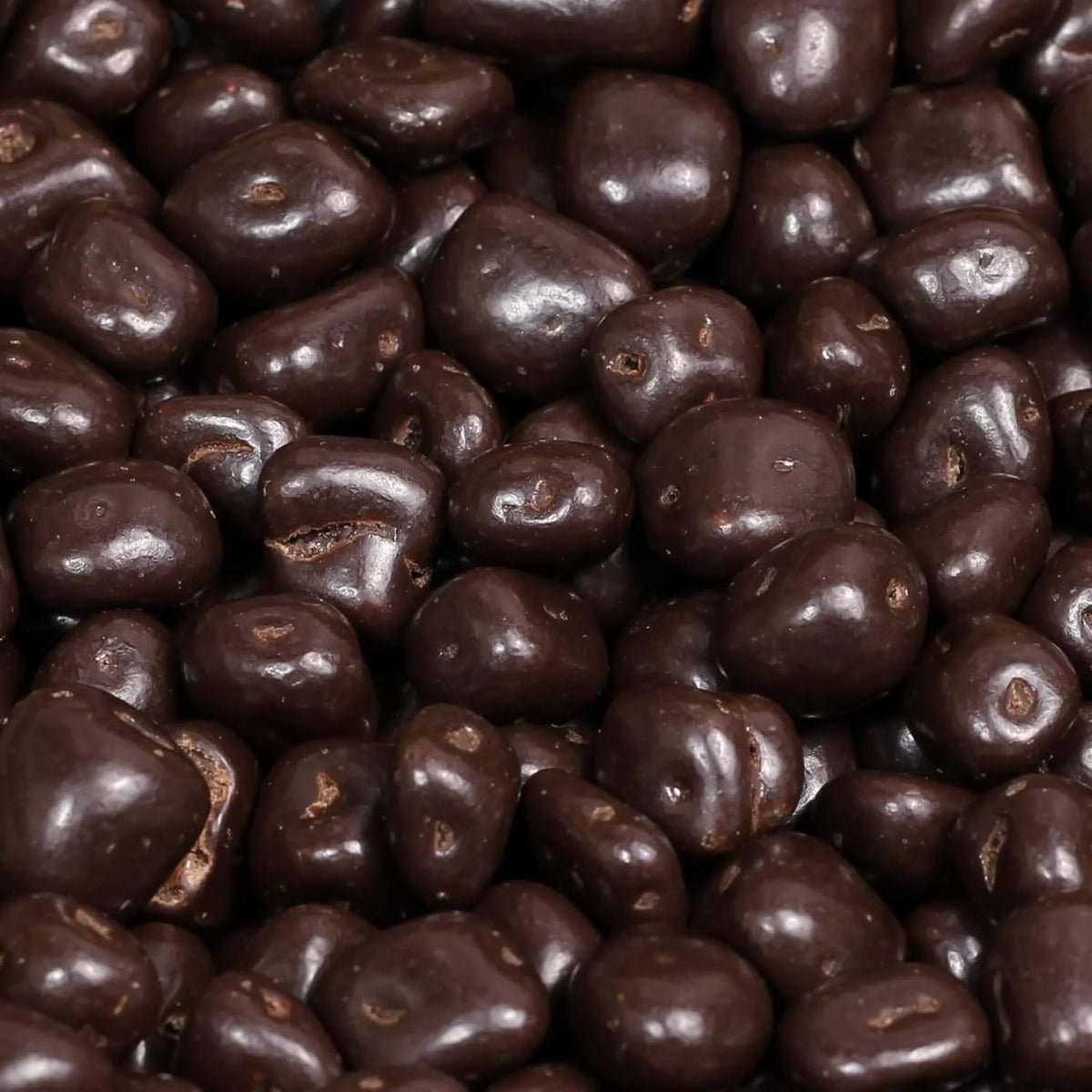 Dark Chocolate Covered Dried Mango 2 Lbs Bulk Bag M68014