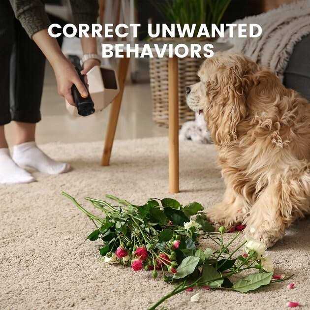 Ultrasonic Dog Bark Deterrent C214978