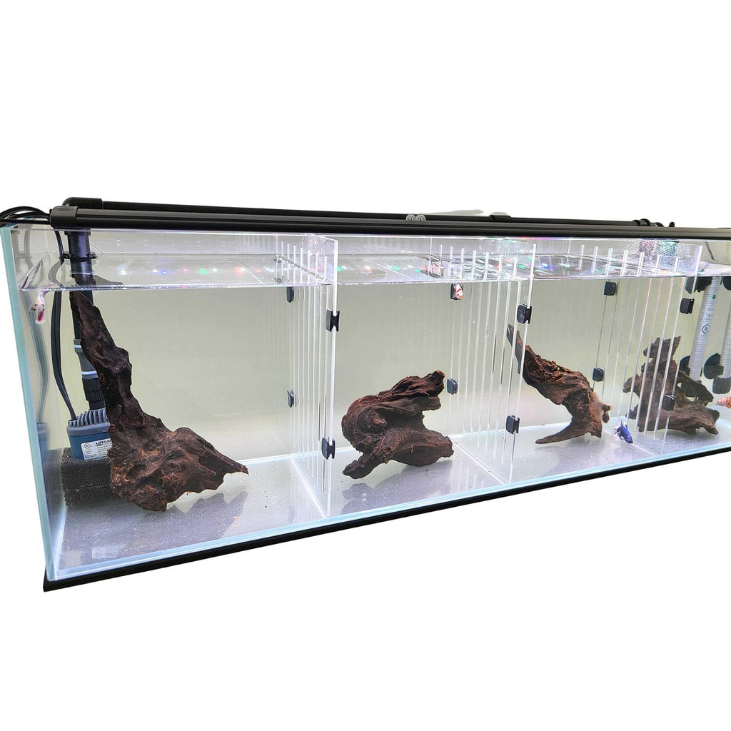 Acrylic Aquarium X932248