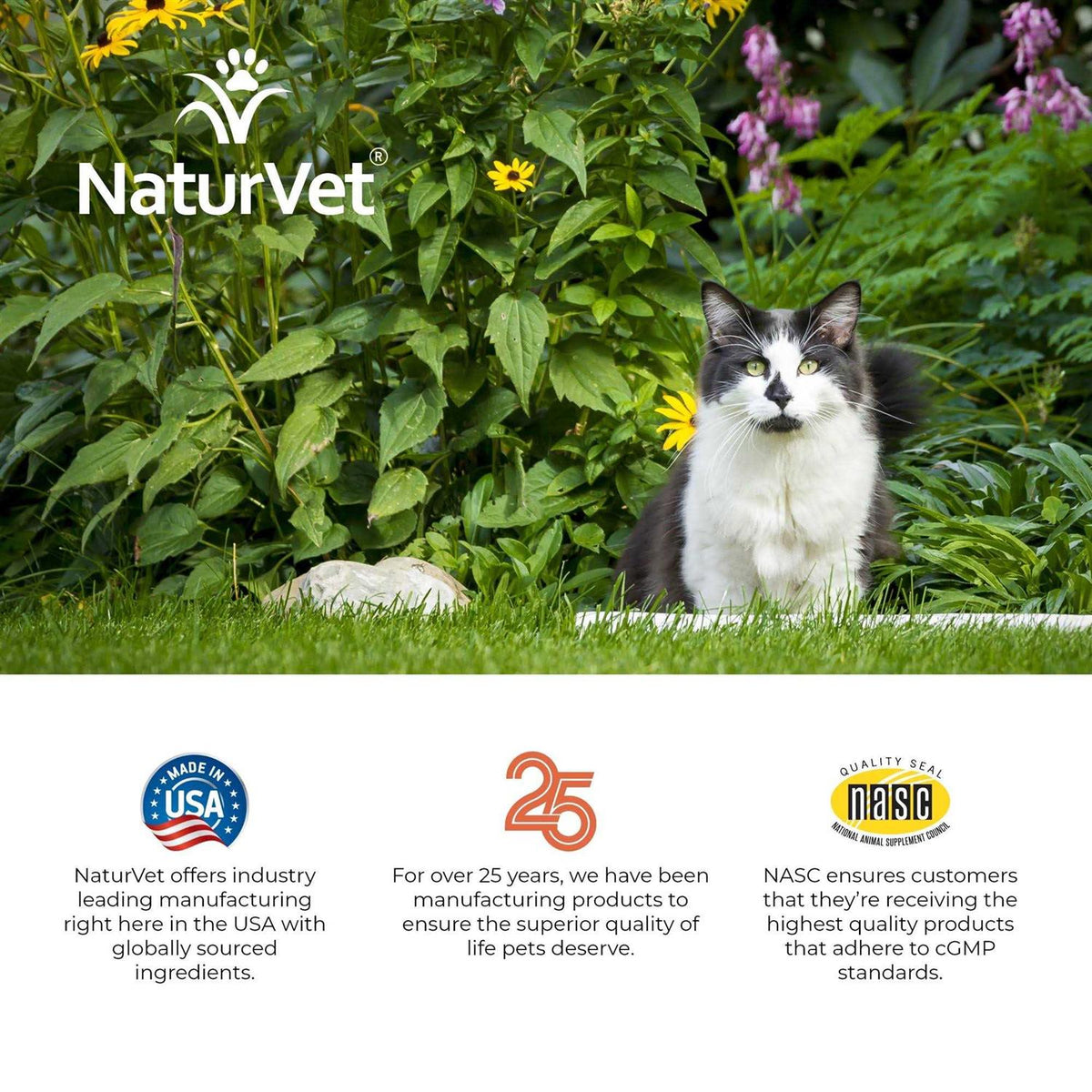 Hemp Allergy Aid Soft Chews Cat Supplement F77172