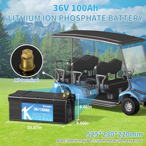 12.8V 100Ah LiFePO4 Battery with 100A BMS W656